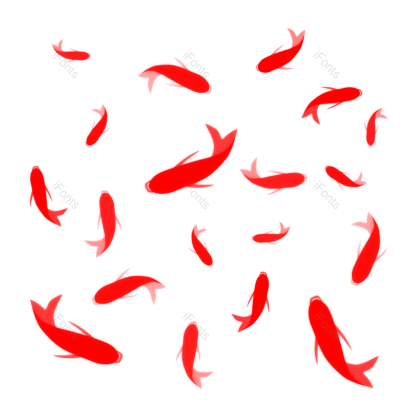 锦鲤图片,红色元素,PNG,免抠素材