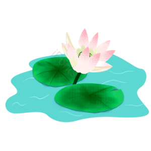 水池 荷叶 荷花 元素