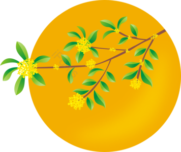 桂花 月亮 秋天 季节 中秋 花香 装饰