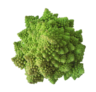 突出 异形 绿色 有机 蔬菜 植物 健康