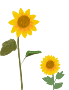 儿童节 向日葵 手绘 卡通 插画 涂鸦 油画棒效果 装饰花朵