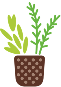 可爱 小清新 盆栽 绿植 植物 插画