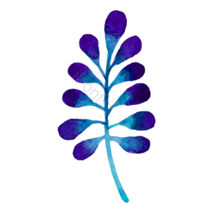 水彩 风格插画 树叶 植物 紫色蓝色 手绘