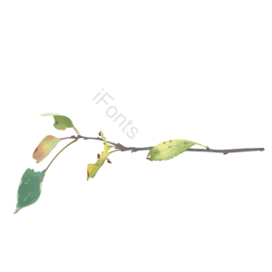 立秋 秋天 节气 植物 树枝 泛黄 渐变 手绘