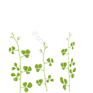 植物 绿色 藤蔓 小草 植物背景 植物装饰图案 春天 春暖花开