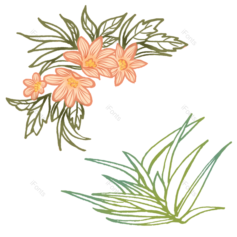 卡通图片,素材元素,花卉PNG,花朵免抠素材