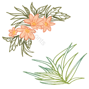 手绘 卡通 大自然 植物 花卉 花朵 草 素材