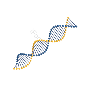 分子 分子结构 螺旋结构 蓝色分子 黄色分子 分子构成