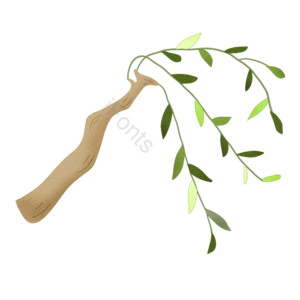 清明节柳枝飘手绘装饰元素 柳枝 柳树 初春 清明节 柳叶 柳条 清明节