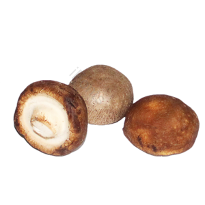 蔬菜 免抠 png 摄影 实物 实拍 摄影 照片