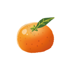 水果 切片 fruit 实物 免扣 橘子