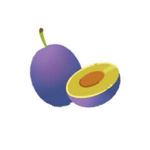 水果 切片 fruit 实物 免扣 无花果