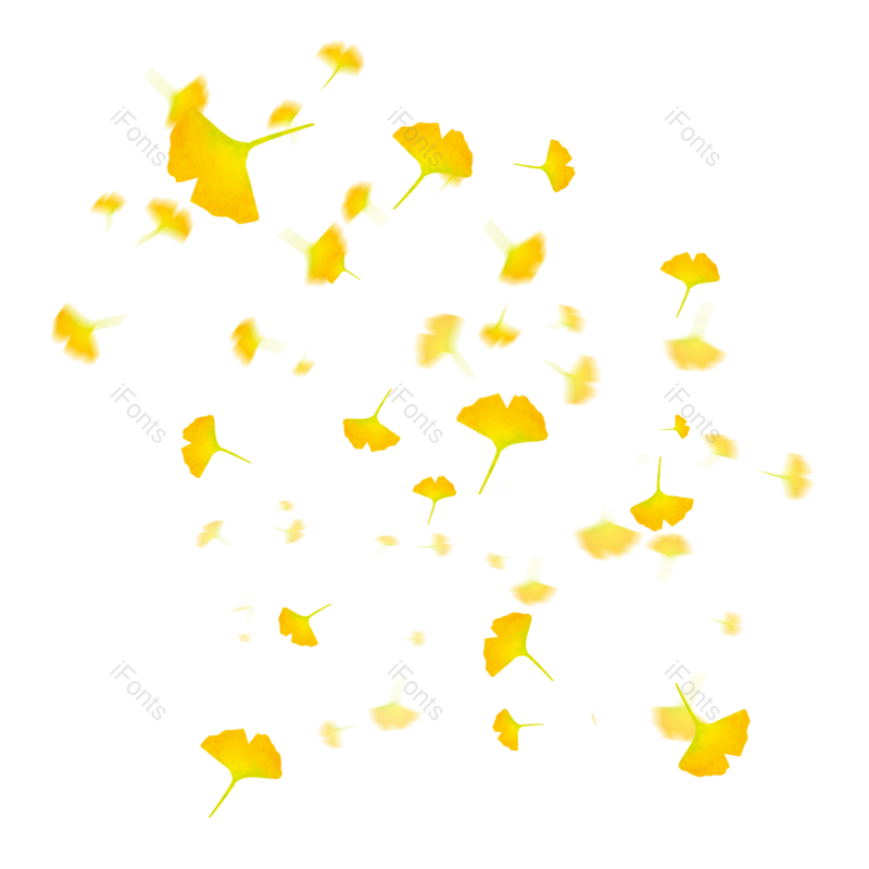 叶子图片,元素,PNG,免抠素材