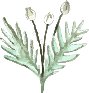 手绘 插画风格 绿色 春天 植物 装饰免扣 春季