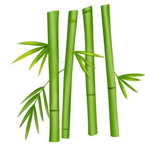 竹子 植物 绿色 竹叶 插画 免抠 卡通