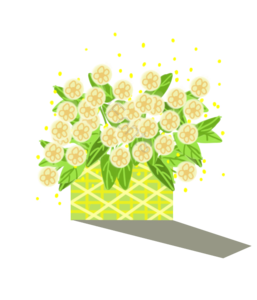 插画 花束 清新 黄色 小 花篮