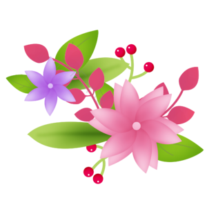 花朵 花瓣 花 植物 花卉 花边 装饰 叶子