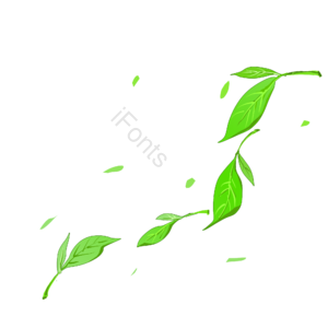 清明节 绿色 茶叶 树叶 漂浮 装饰 茶 春茶