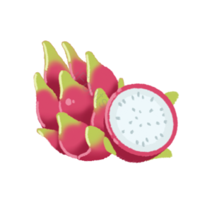 水果 切片 fruit 实物 免扣 火龙果