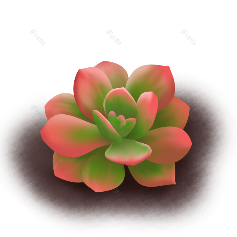 手绘图片,多肉植物元素,粉色PNG,免抠素材