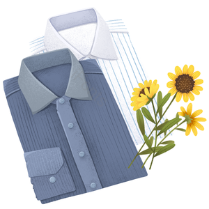 父亲节 礼物 条纹 衬衣 服饰 向日葵 黄色 花朵元素