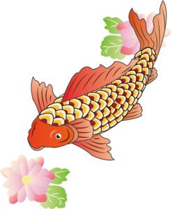 中国风 鲤鱼 锦鲤 牡丹花 红鲤鱼 年年有余 年年有鱼 插画