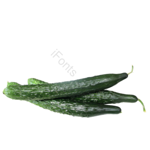 黄瓜 蔬菜 实物 摄影 照片 免抠 png 素材