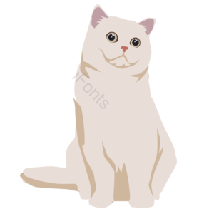 猫 小猫 白猫 优雅猫 卡通猫 萌宠