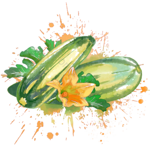 春夏 水彩 葫芦瓜 绿色 蔬果 炒菜 葫芦瓜花 黄花