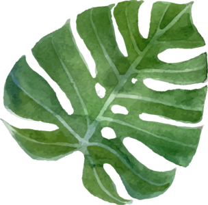 手绘 插画 风格 植物 免扣 节日 装饰素材 春天
