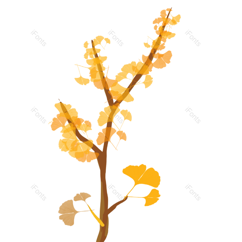 秋叶图片,元素,PNG,免抠素材