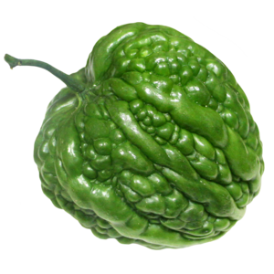 实物 png 素材 实拍 照片 摄影 图片 实物