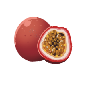 水果 切片 fruit 实物 免扣 百香果