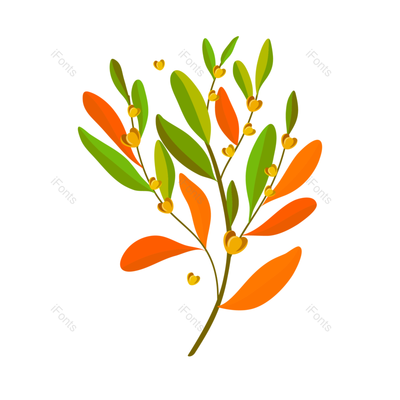 花卉图片,环境元素,绿色PNG,植物免抠素材
