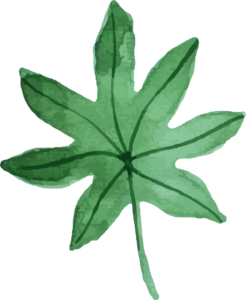 手绘 插画 水彩 风格绿色 植物 树叶 绿叶