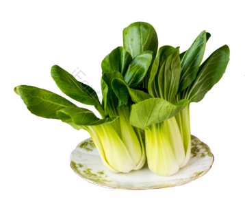 盘子 绿色 蔬菜 白菜 营养 健康 健康