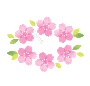 桃花 樱花 春天 粉色 花朵 花卉 立春 春