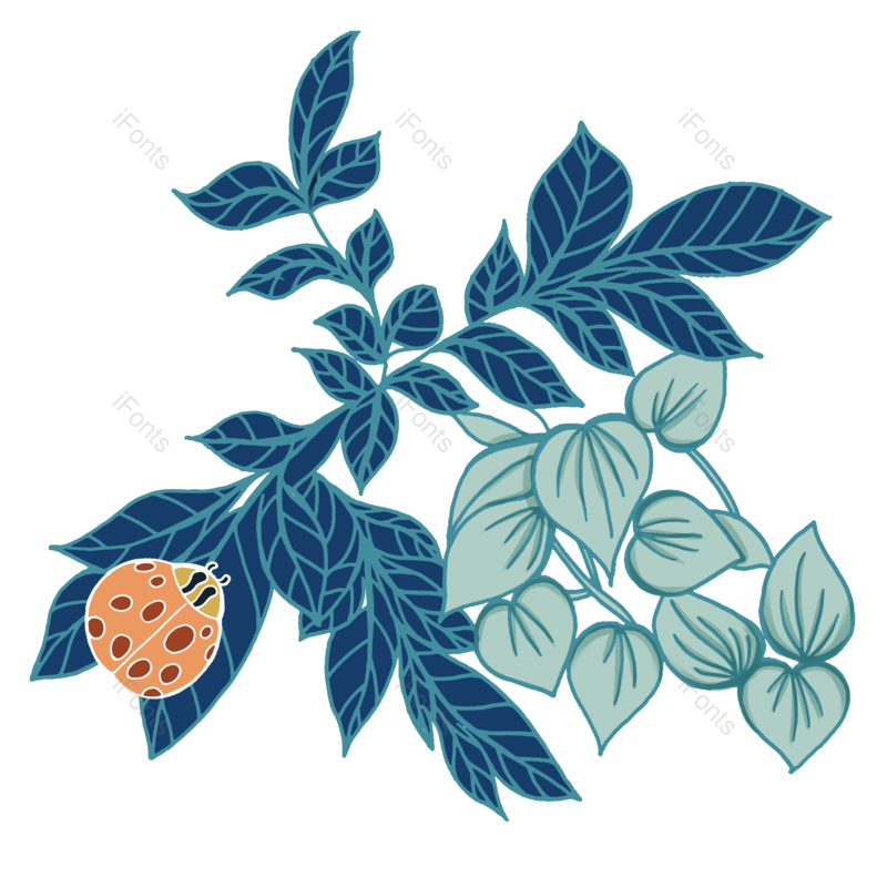 叶子图片,花卉元素,大自然PNG,动物免抠素材