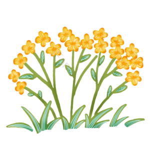 手绘 卡通 花卉 植物 花朵 绿叶