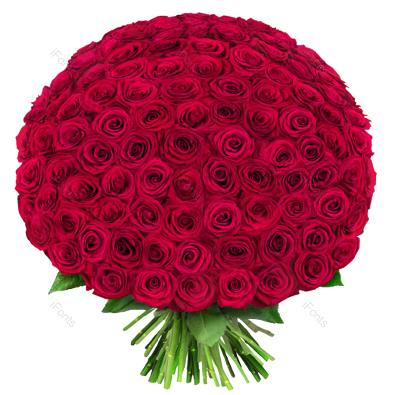 节日图片,玫瑰元素,鲜花PNG,花束免抠素材