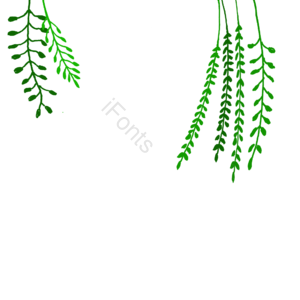 立夏 植物 藤蔓 柳枝 绿色 卡通
