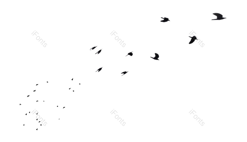 装饰图片,效果元素,中国风PNG,元素免抠素材