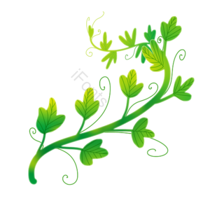 绿色 藤蔓 攀爬 春 春天 草 小草 素材