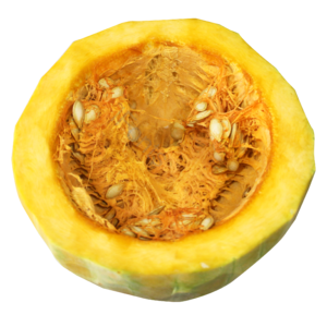 南瓜 瓜 蔬菜 果树 瓜果 实物 免抠 png