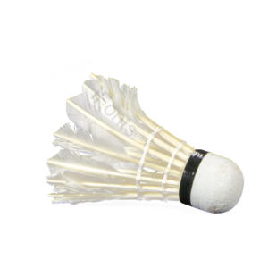 羽毛球 球类 羽毛 运动用品 png 白色