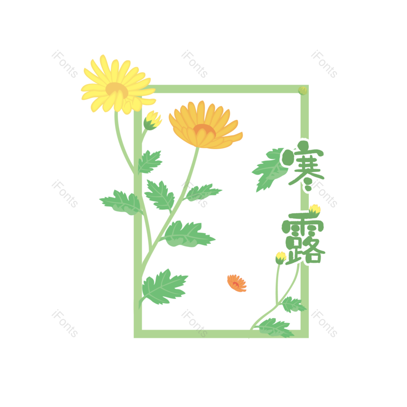 节日图片,菊花元素,PNG,免抠素材