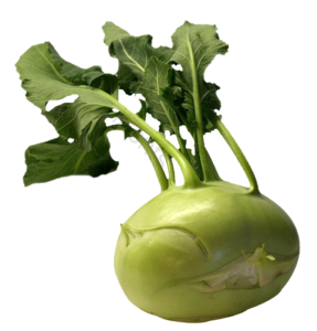 叶子 植物 蔬菜 根部 大头菜 菜品 健康