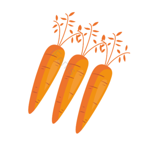 庄稼 橘色 维生素 蔬菜 农作物 食材 胡萝卜