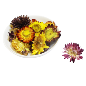 七彩菊 养生 花茶 实物 免抠 png 素材 减肥