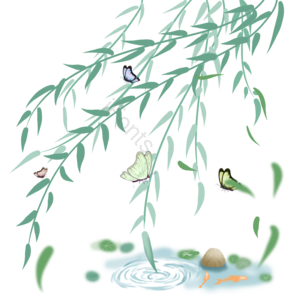 清明节 池塘 柳条 飞舞 柳树 蝴蝶 绿色 手绘